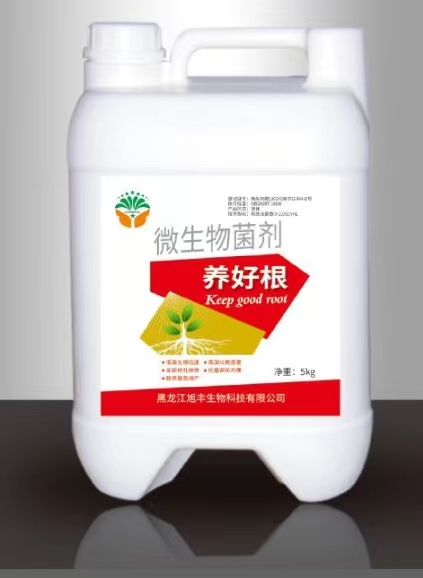 養好根
